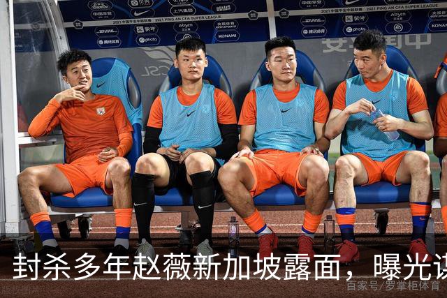 封杀多年赵薇新加坡露面，曝光谋生手段，网友：想不到她会干这个