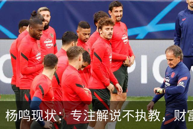 杨鸣现状：专注解说不执教，财富自由四处潇洒，儿子继承天赋颜值